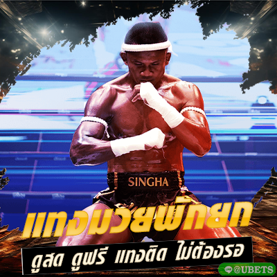 มวยพักยก